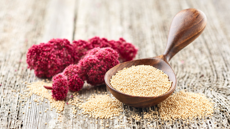 Amaranth seeds and plant