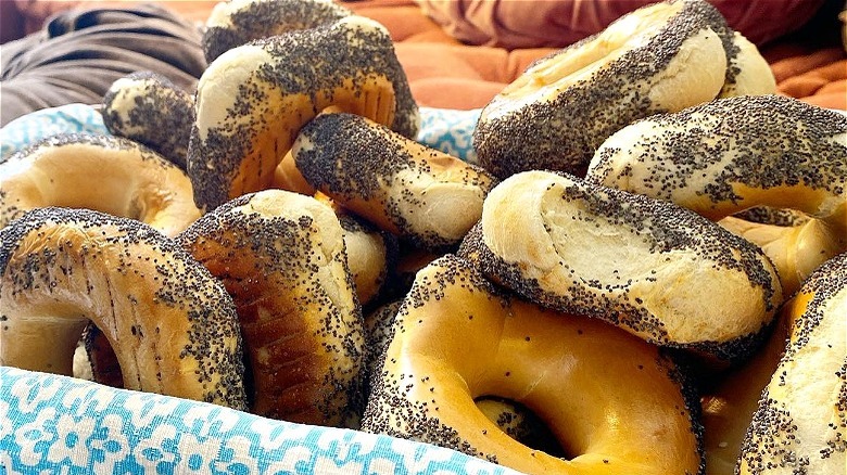 poppy seed bagels