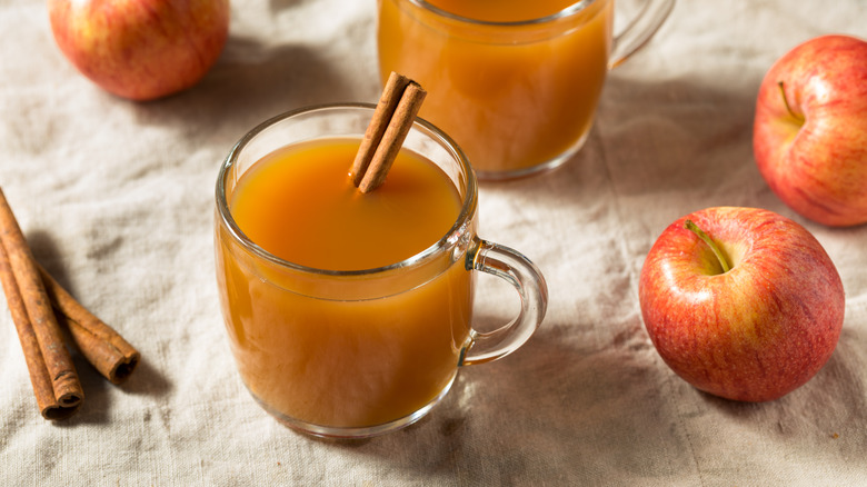 Apple cider with cinnamon stick