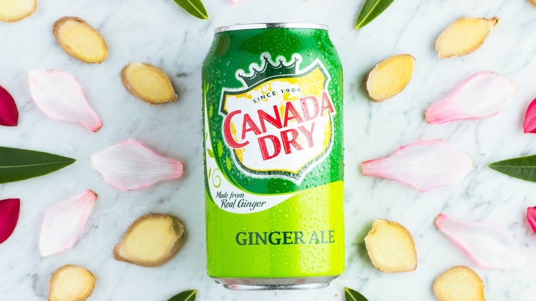 Can of ginger ale