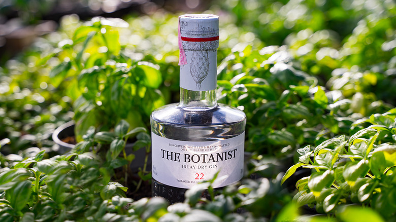 botanist gin bottle