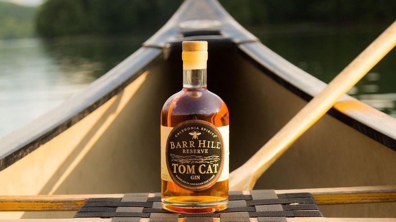 Tom Cat gin in canoe