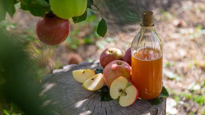 Apple cider vinegar in bottle