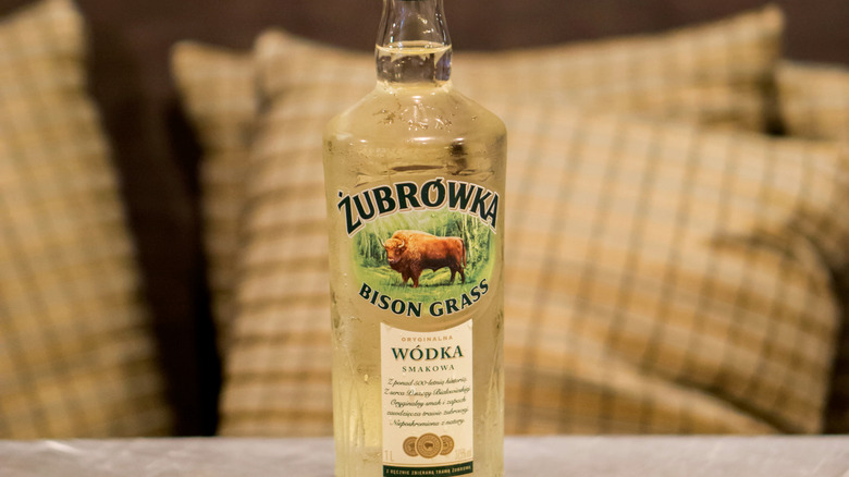 Zubrowka Polish vodka