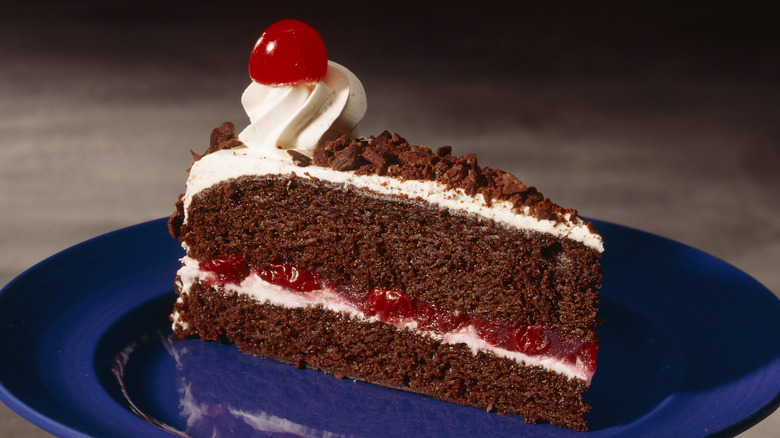 Chocolate cake with cherry pie filling