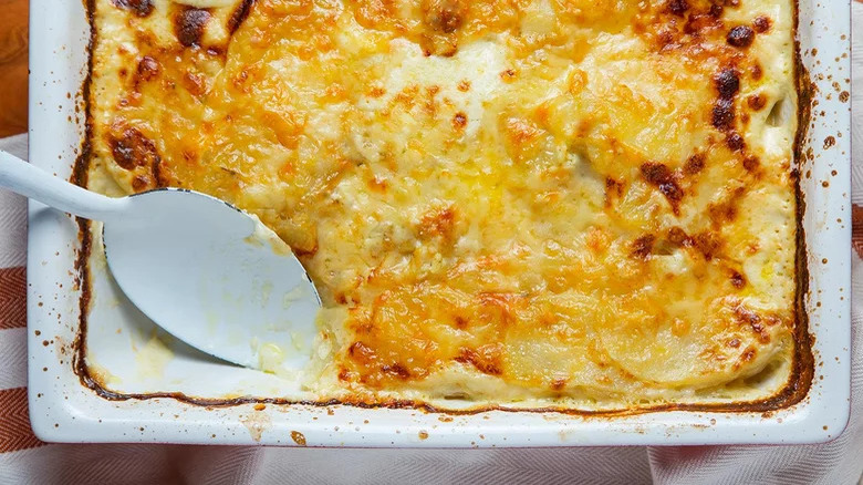 potato gratin with spoon