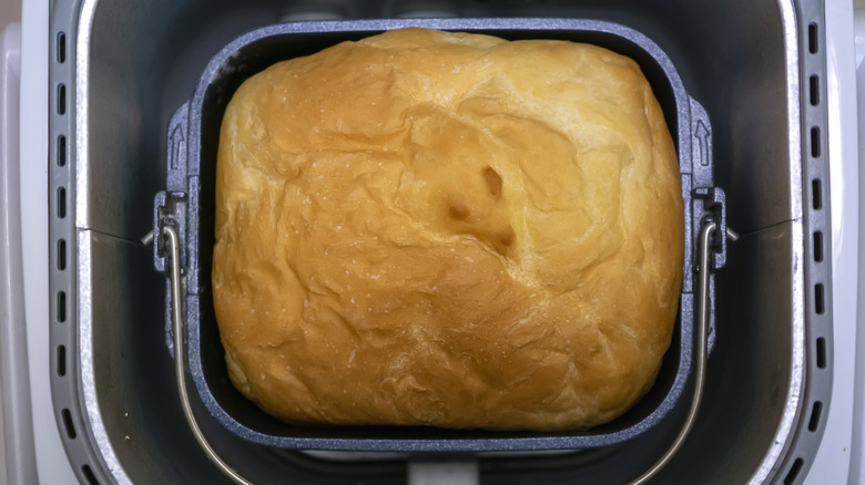 Bread rising in a machine