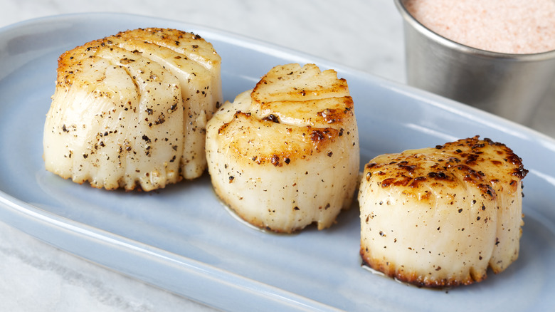 three seared scallops on a plate