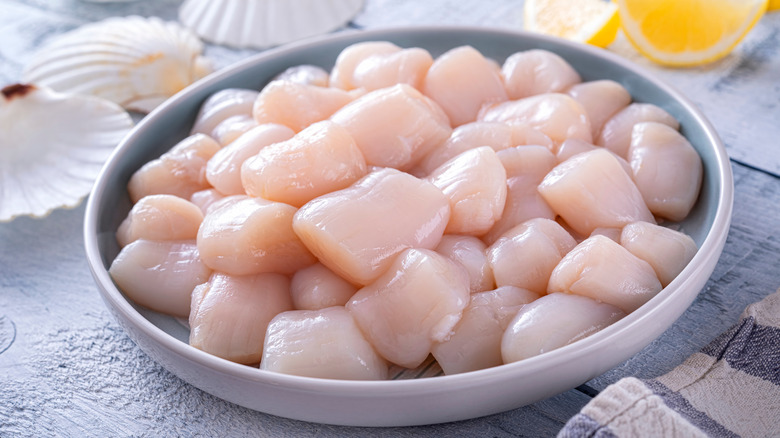 scallops 20/30 count