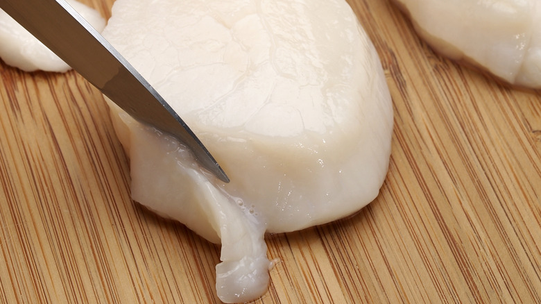 removing side muscle from scallop