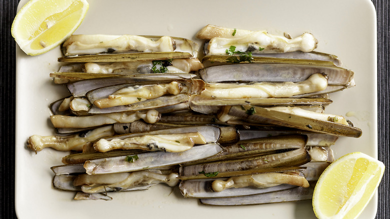 Razor clams on white plate 