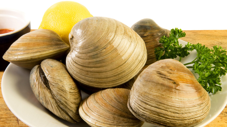 Tan cherrystone clams in white bowl 