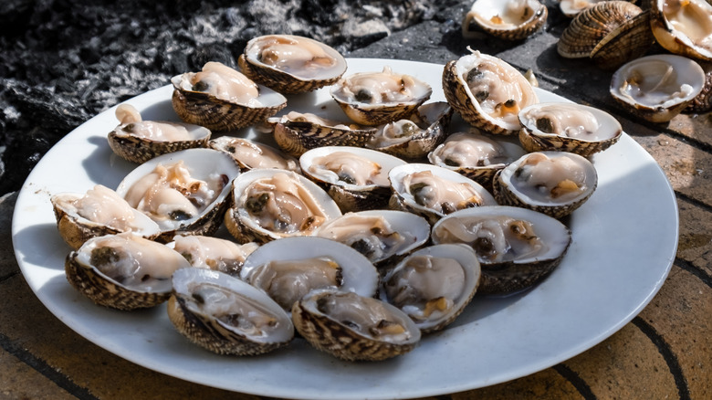 Open cockles on white plate 