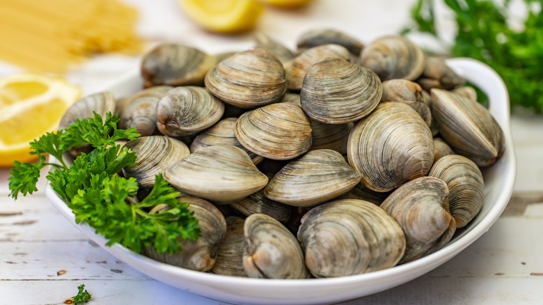 Littleneck clams stacked on white dish