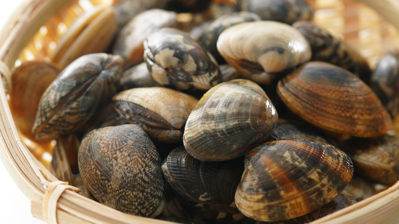 Striped clams in wicker basket