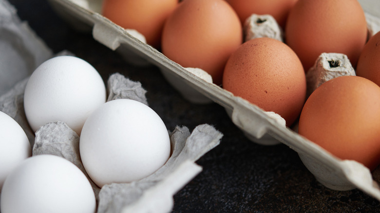 Brown and white eggs together