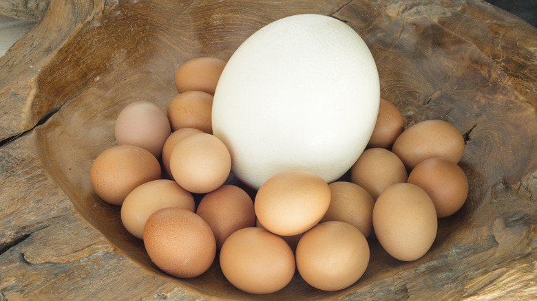 Ostrich egg in bowl