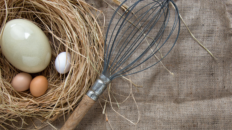 Ostrich egg and whisk