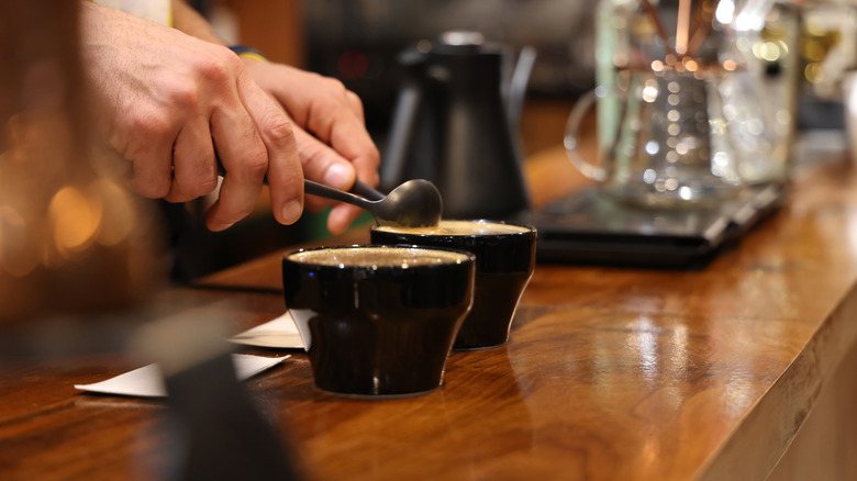 barista performing coffee cupping