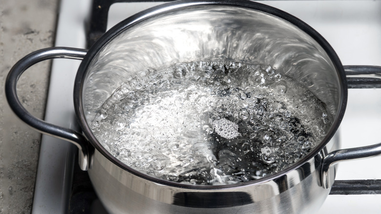 Boiling water in pot on stove