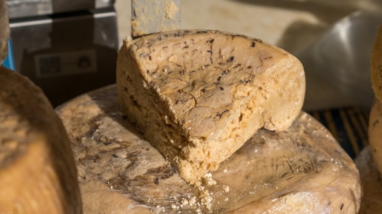 casu marzu wedge on cheese