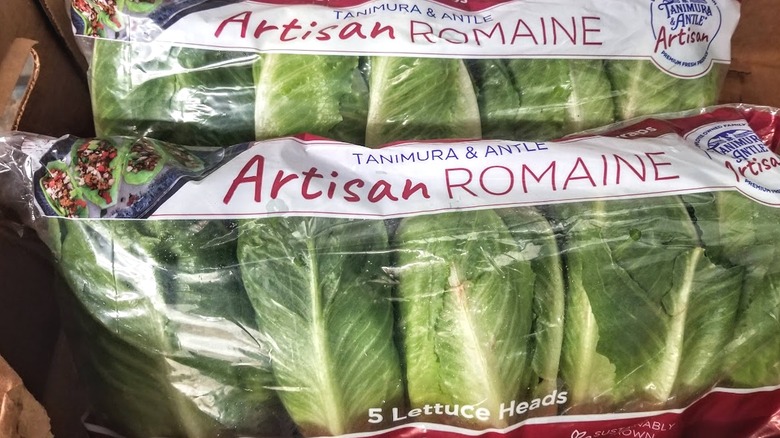 Packages of artisan romaine lettuce