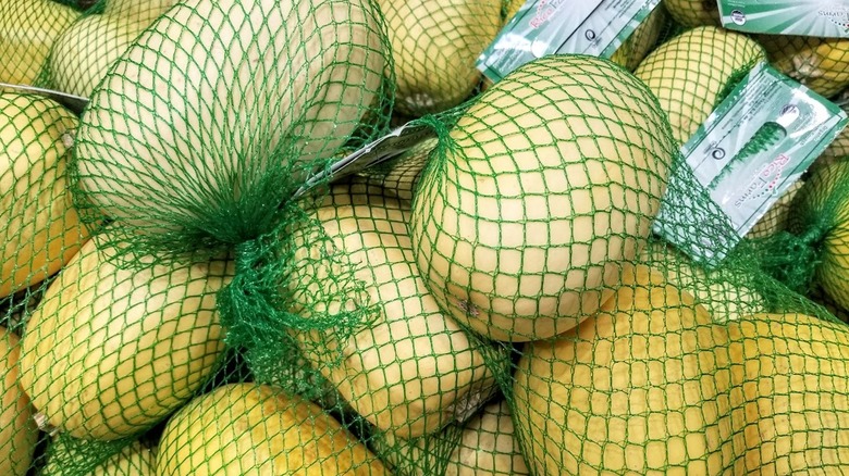 Bags of whole spaghetti squash