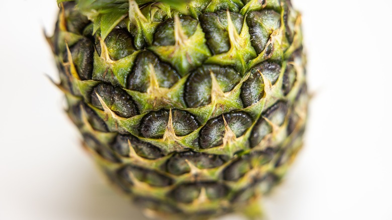 Closeup of pineapple skin 