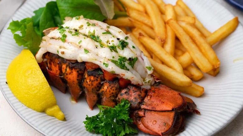 Broiled lobster tail and fries on a plate