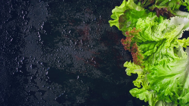 Lettuce on black background 