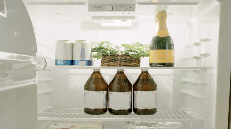 Wine bottles in a fridge
