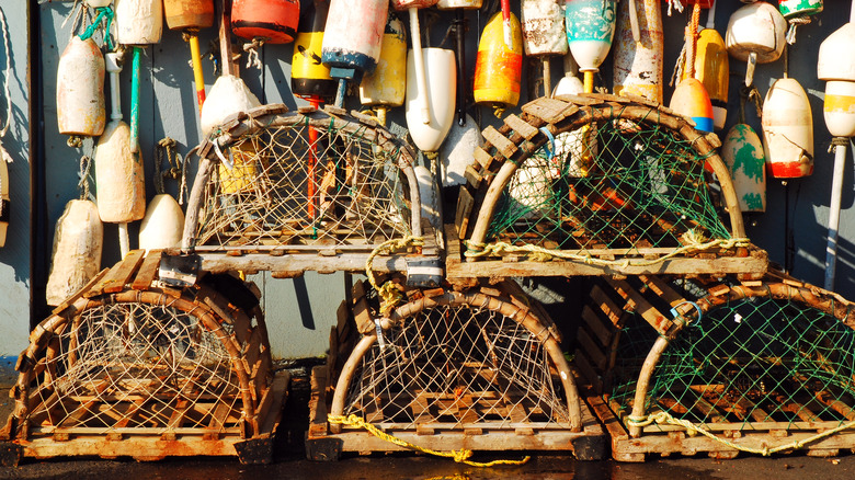 five lobster traps and buoys 