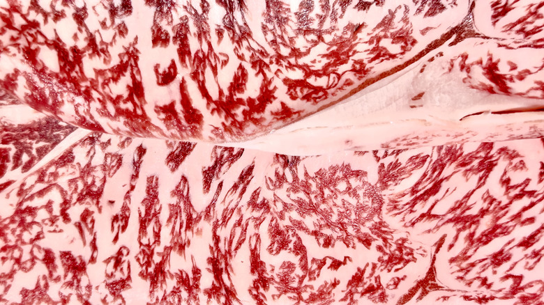 Close-up of wagyu beef with high fat marbling