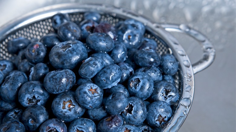 washing blueberries under water