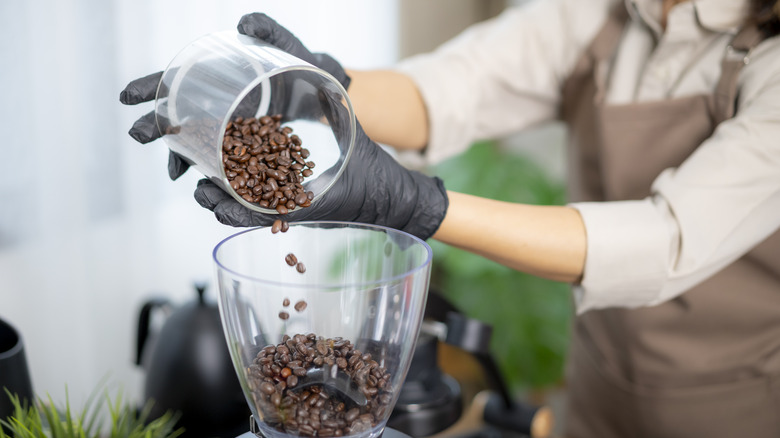 barista grinding coffee beans