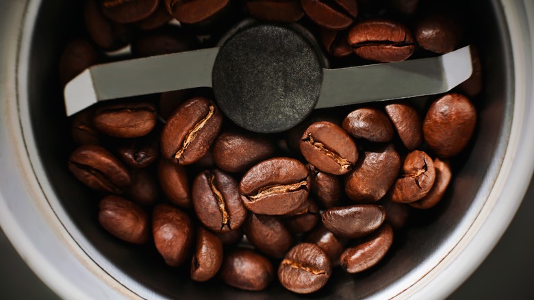 coffee grinder blade with beans