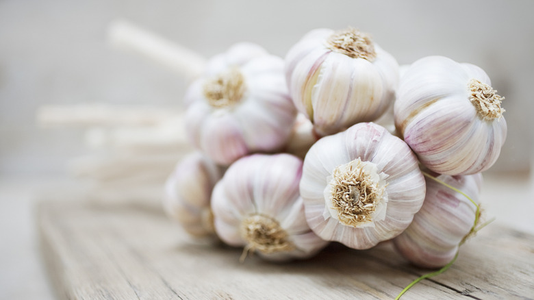 garlic on stalk