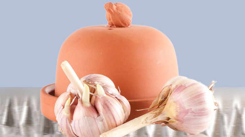 clay garlic roaster with garlic