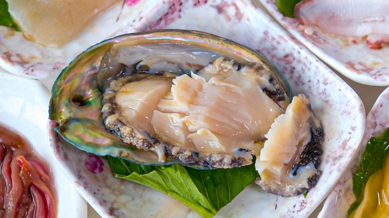 Sliced abalone in its shell