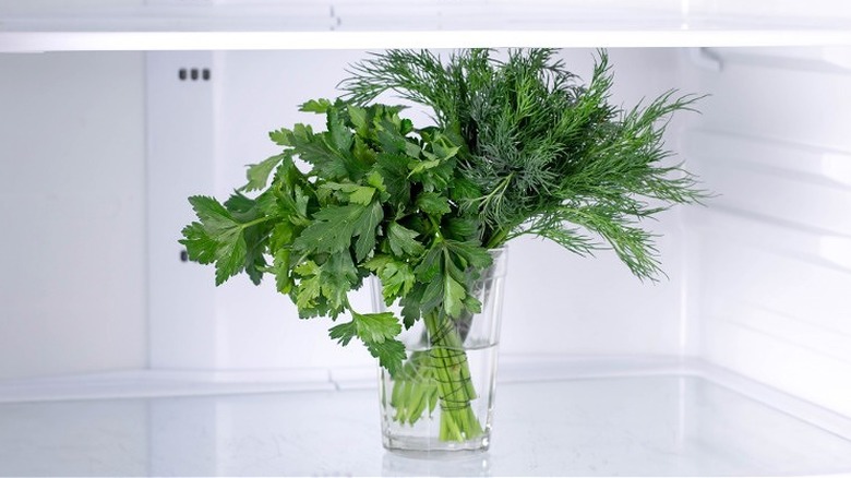 refrigerated herb bouquet in water