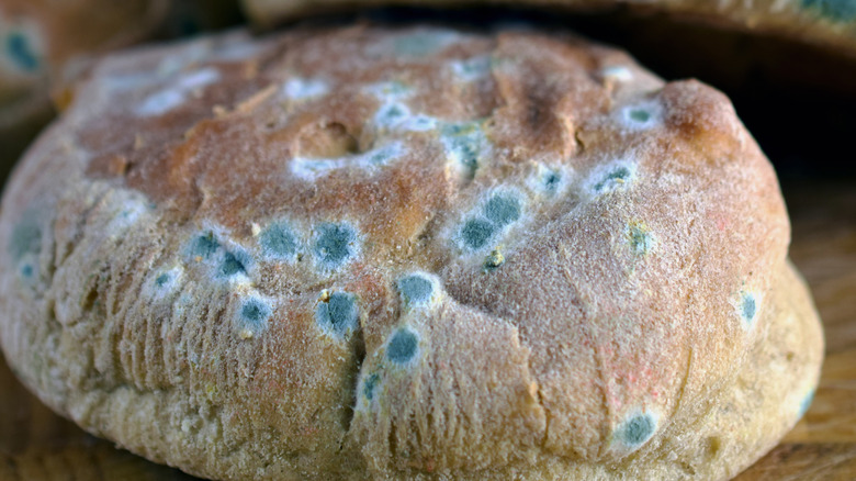 Moldy bread on a wooden board