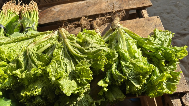 A piled of wilted lettuce on a wooden crate