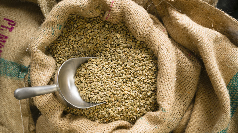 Green coffee beans in bag