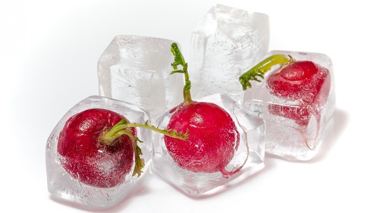 Radishes frozen in ice