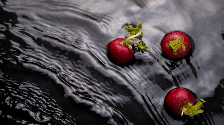 Radishes in running water