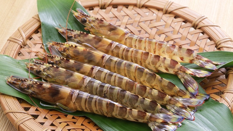 Plate of tiger prawns