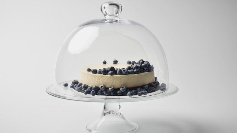 Cake dome with blueberry cake inside on white background