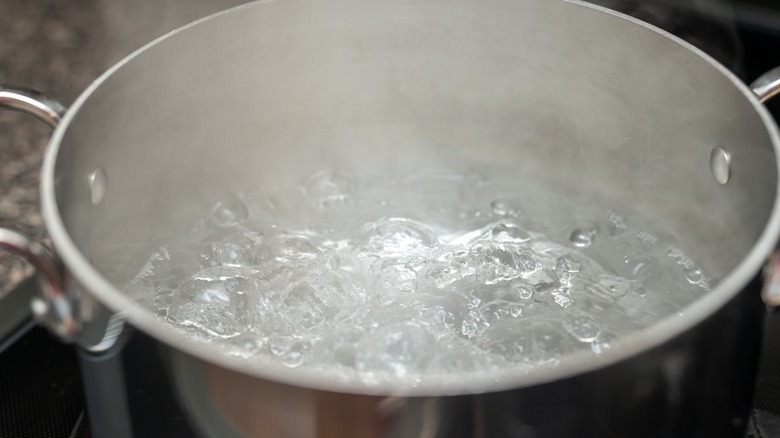 Boiling pot of water on the stovetop