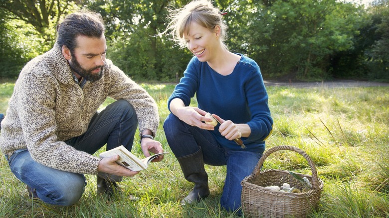 A couple foraging with a guidebook