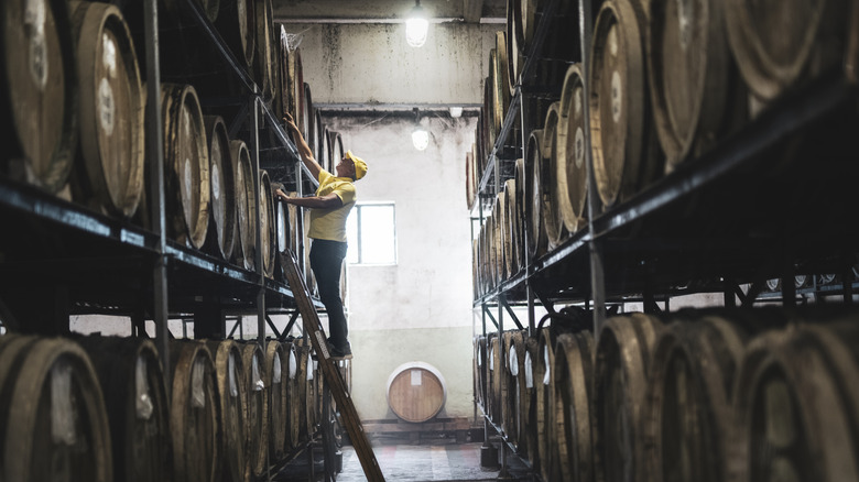 adult man examining barrel